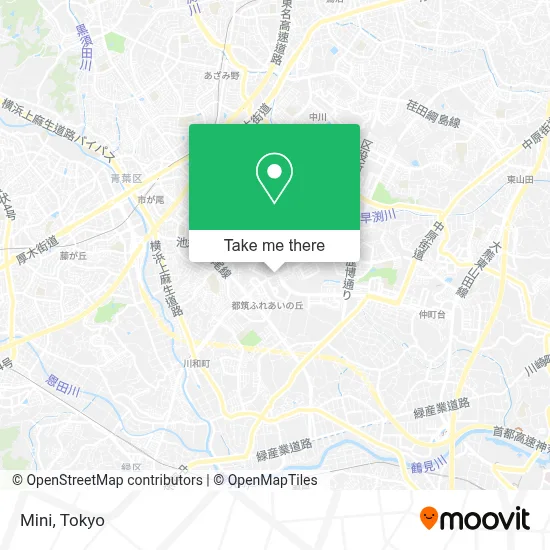 Mini map