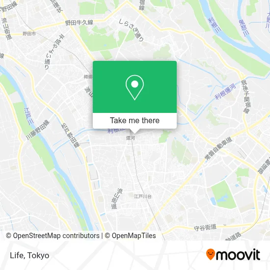 Life map