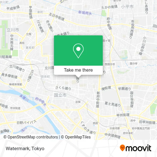 Watermark map