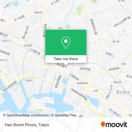 Hair Room Pinuts map
