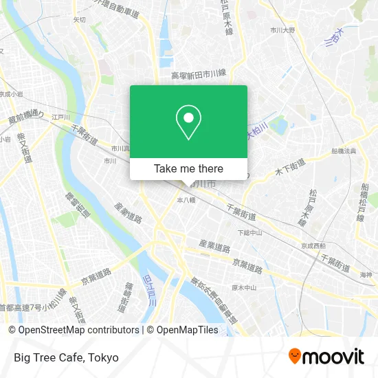 Big Tree Cafe map