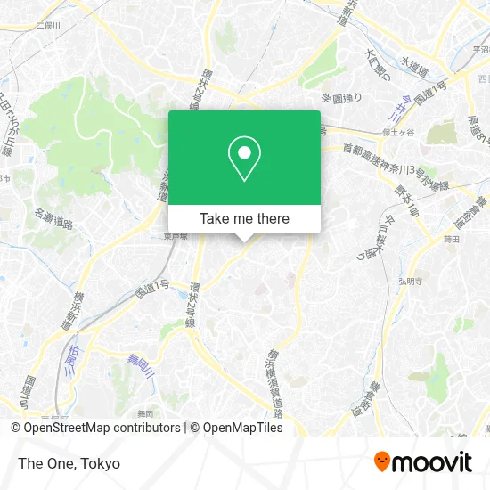 The One map