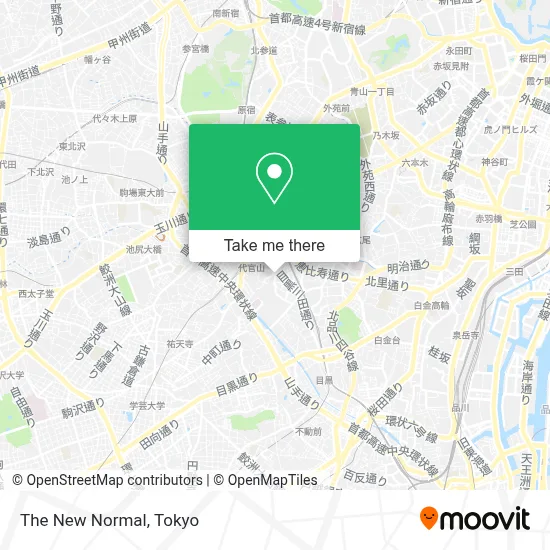 The New Normal map