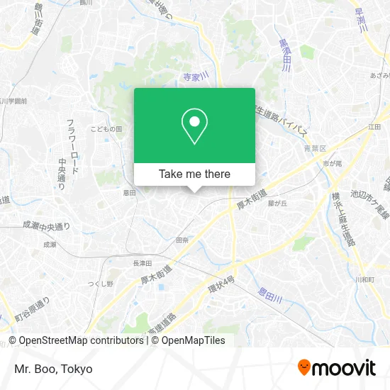 Mr. Boo map