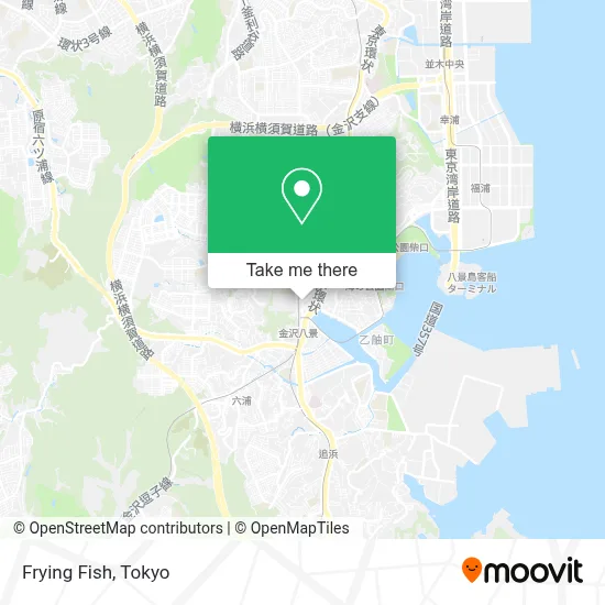 Frying Fish map