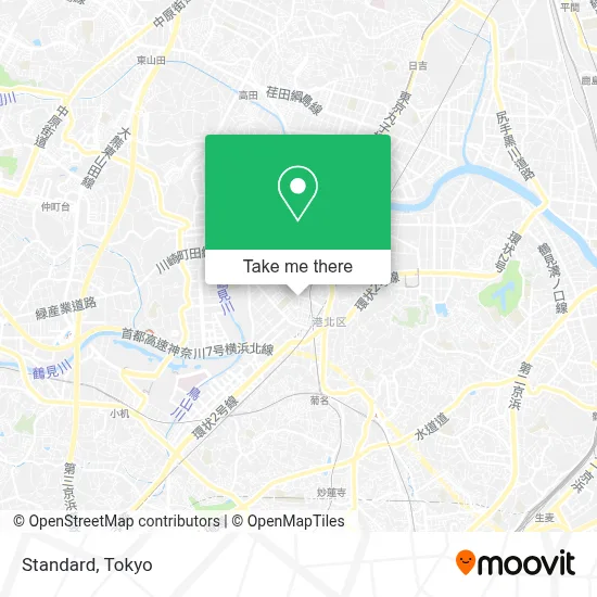Standard map