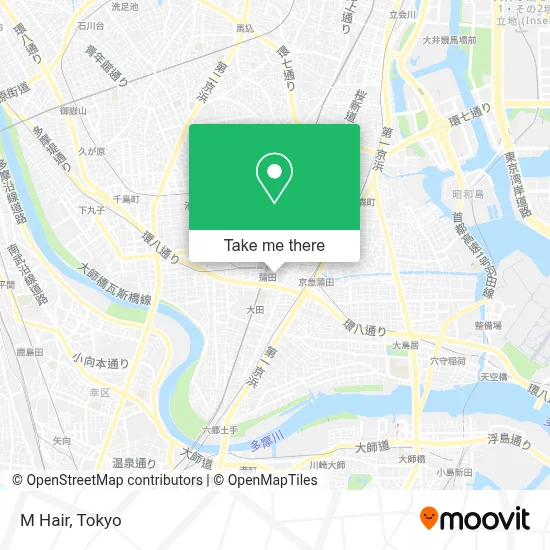 M Hair map