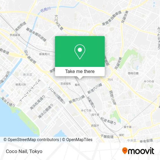 Coco Nail map