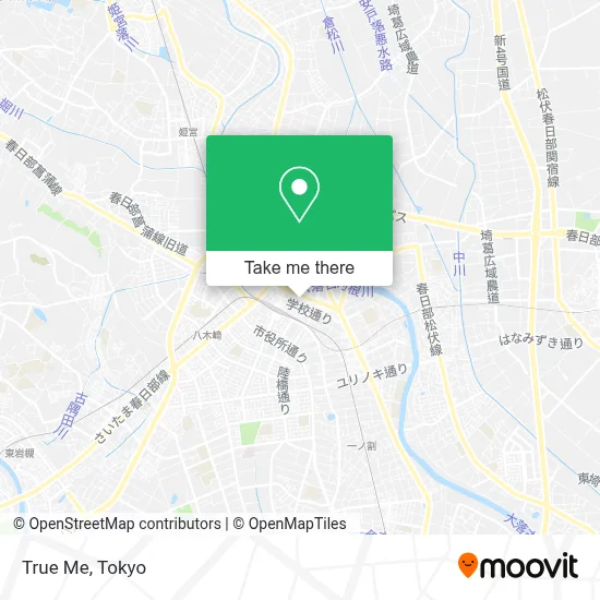 True Me map