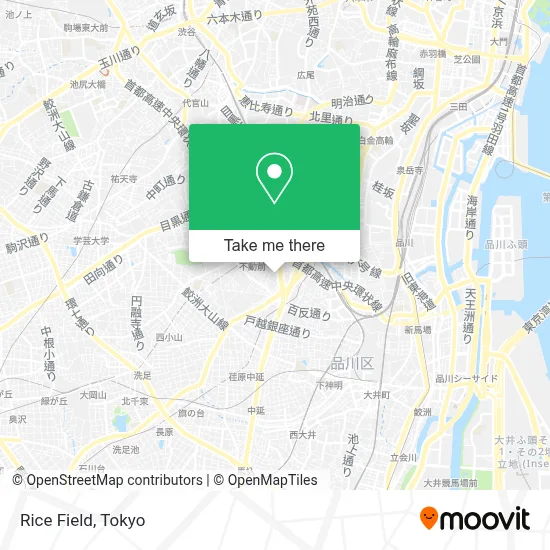 Rice Field map