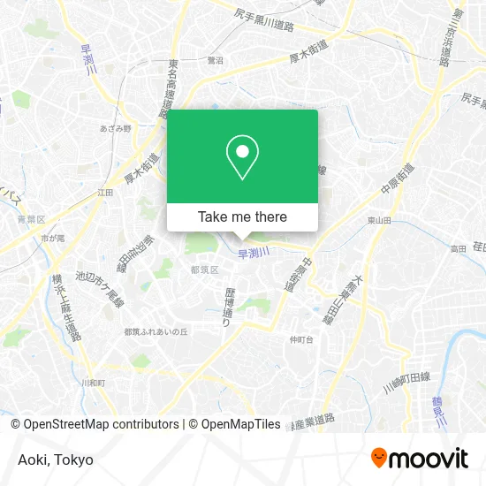 Aoki map
