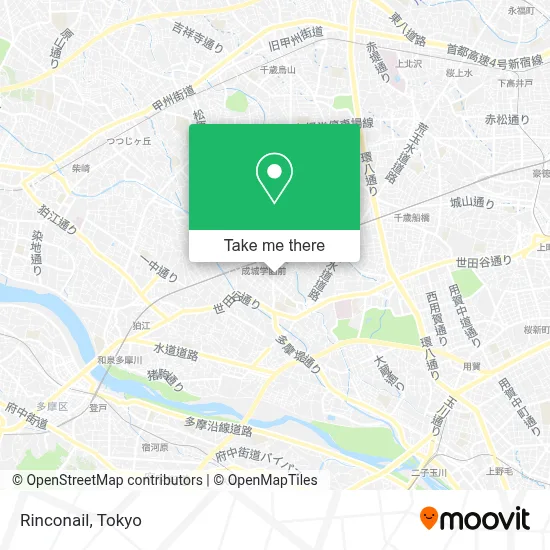 Rinconail map