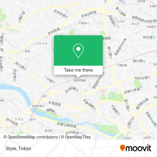 Style map