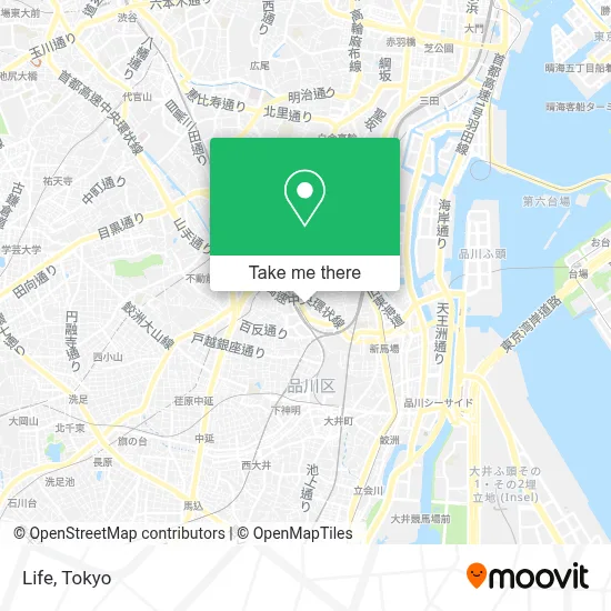 Life map