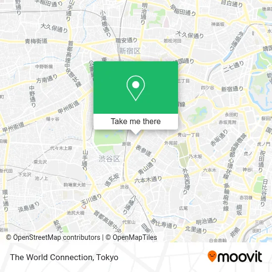 The World Connection map