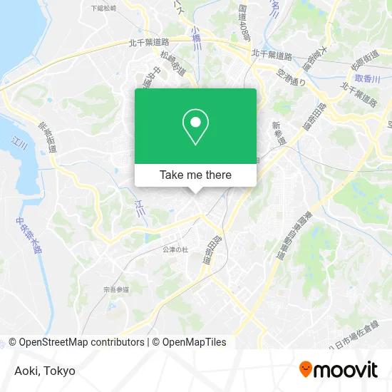 Aoki map