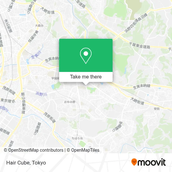 Hair Cube map