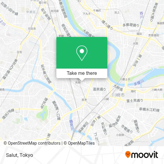 Salut map