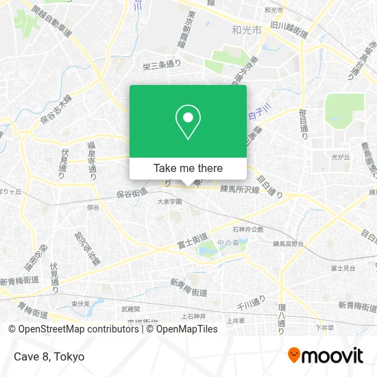 Cave 8 map