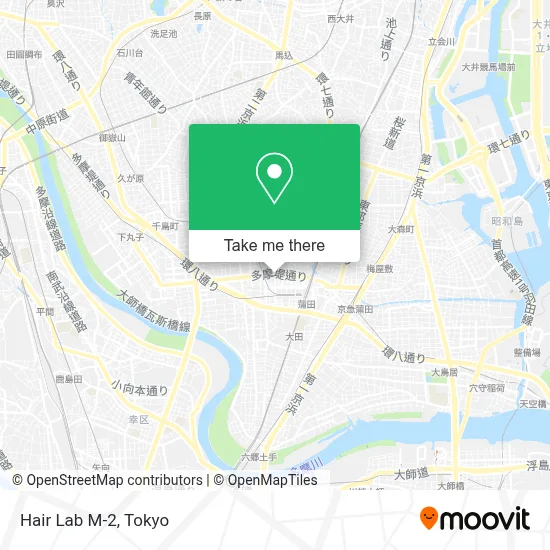 Hair Lab M-2 map