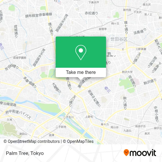 Palm Tree map