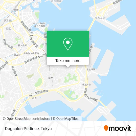 Dogsalon Pedirice map