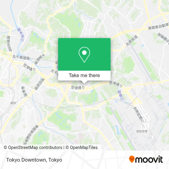 Tokyo Downtown map