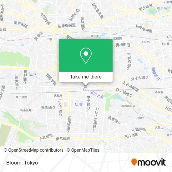 Bloom map