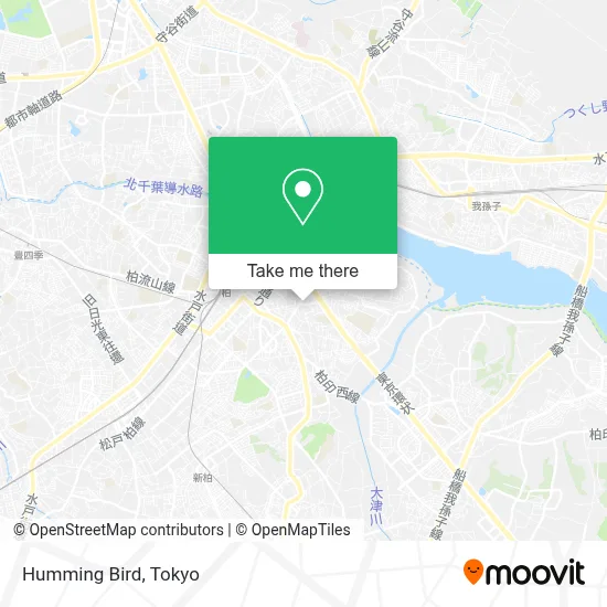 Humming Bird map