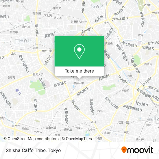 Shisha Caffe Tribe map