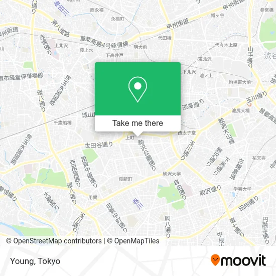 Young map