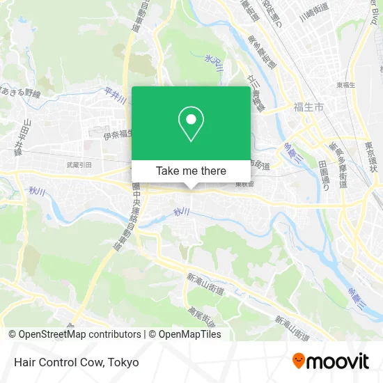 Hair Control Cow map