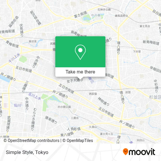 Simple Style map