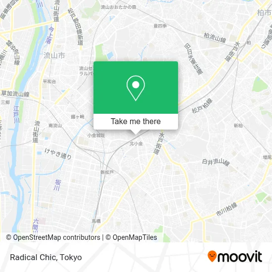 Radical Chic map