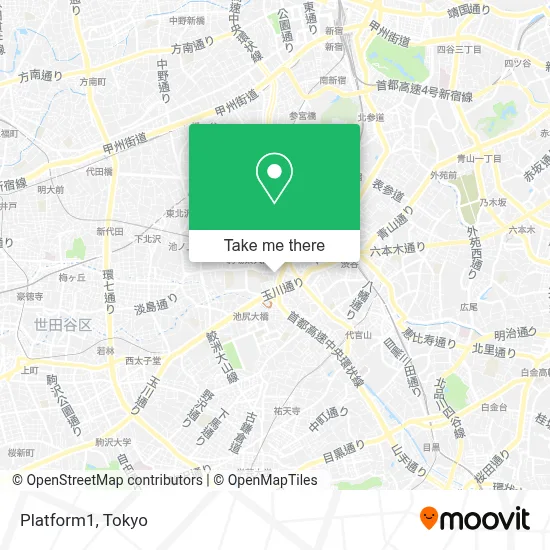 Platform1 map