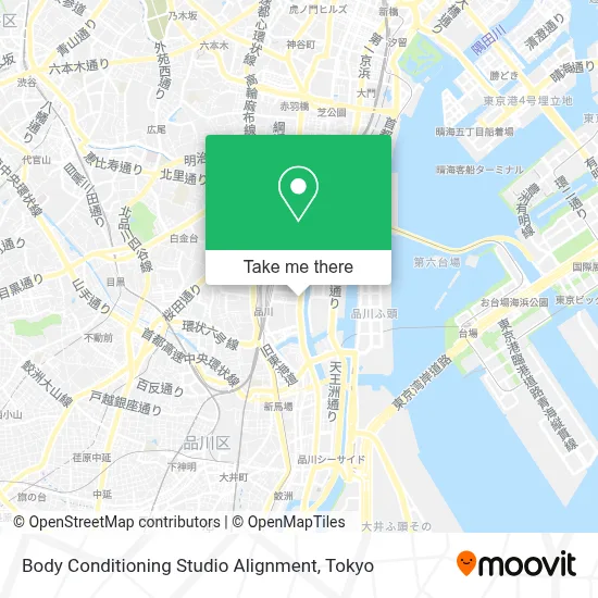 Body Conditioning Studio Alignment map