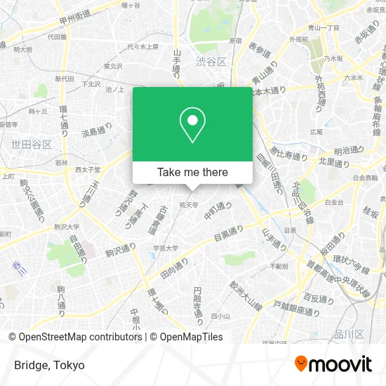 Bridge map