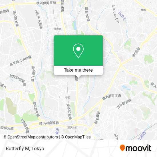 Butterfly M map
