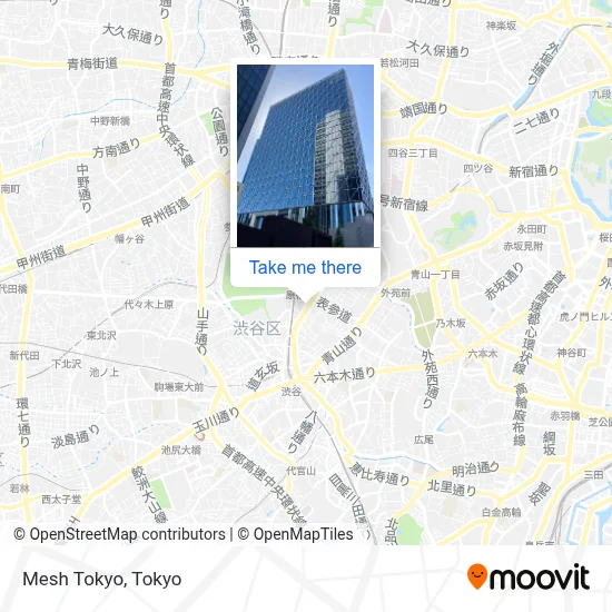 Mesh Tokyo map
