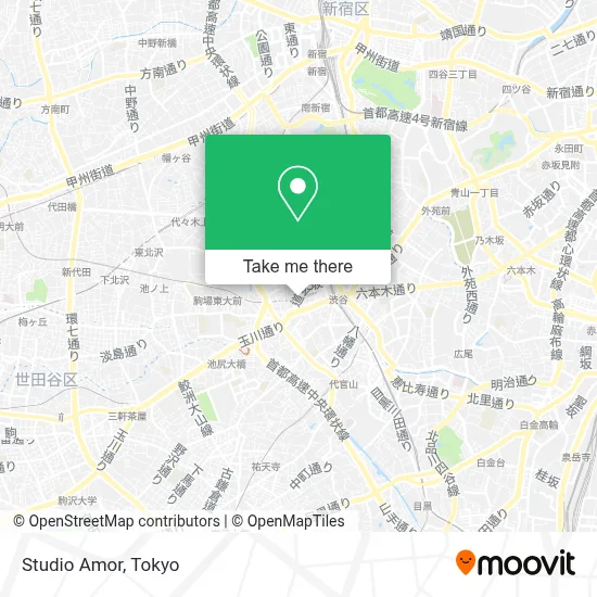 Studio Amor map