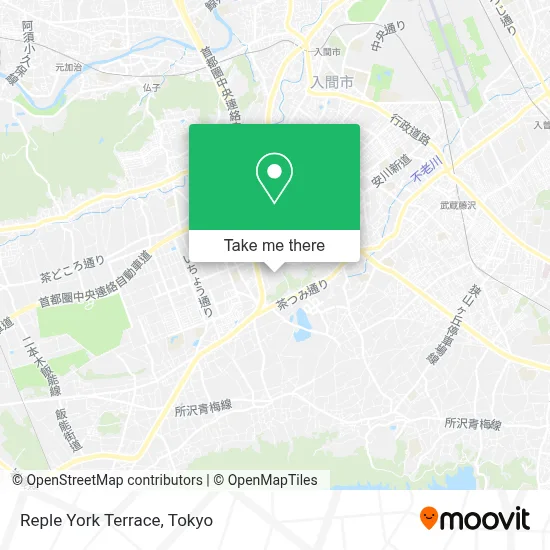 Reple York Terrace map