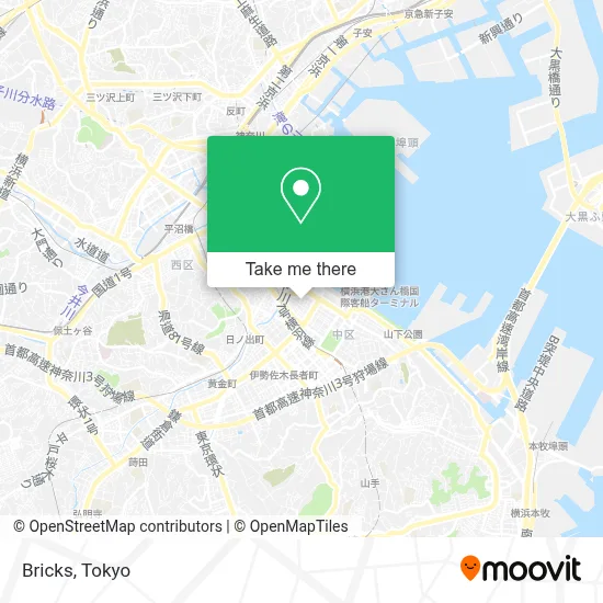 Bricks map