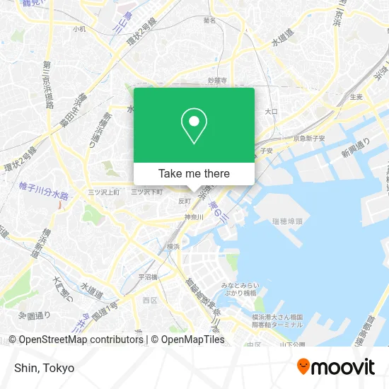 Shin map
