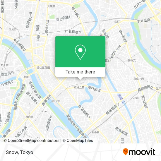 Snow map