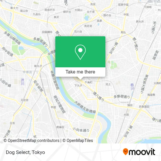 Dog Select map