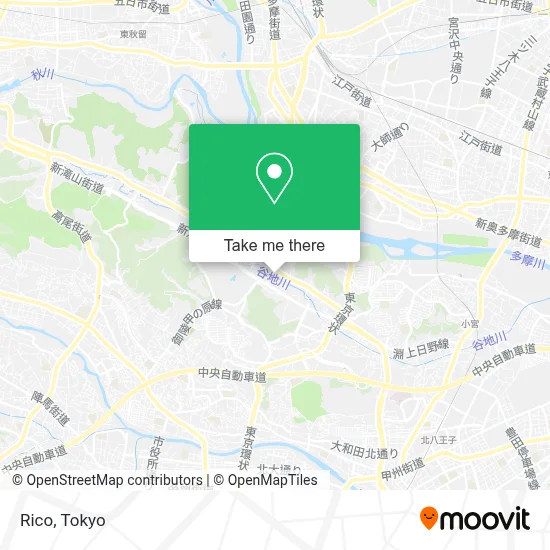 Rico map