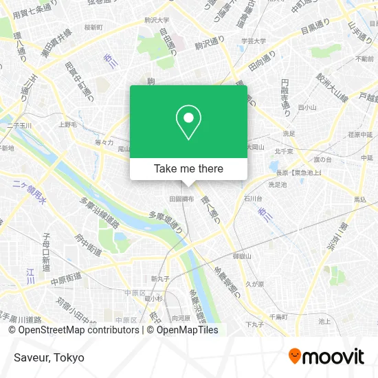 Saveur map