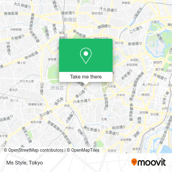 Ms Style map