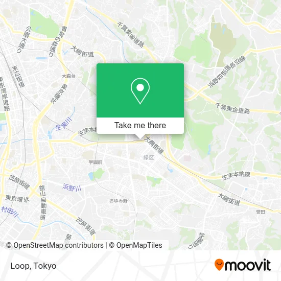 Loop map