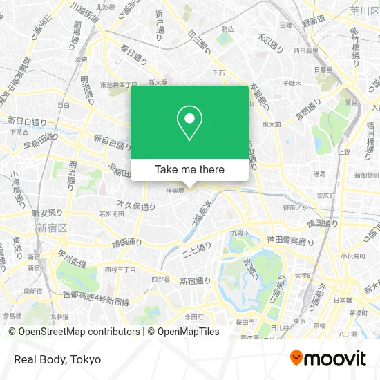 Real Body map